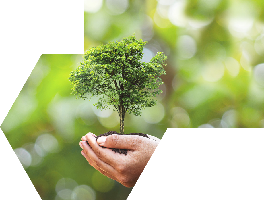 建立共享價(jià)值